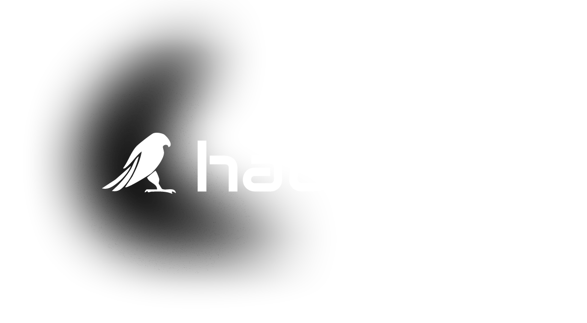 Habicht_IT_LOGO_white_black_gradient_pngx2